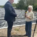 Zdjęcie przedstawia wywiad wicemarszałka z dziennikarką. W tle pole szparagów.