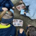 Grupa dzieci patrzy na tropy rozłożona na piasku