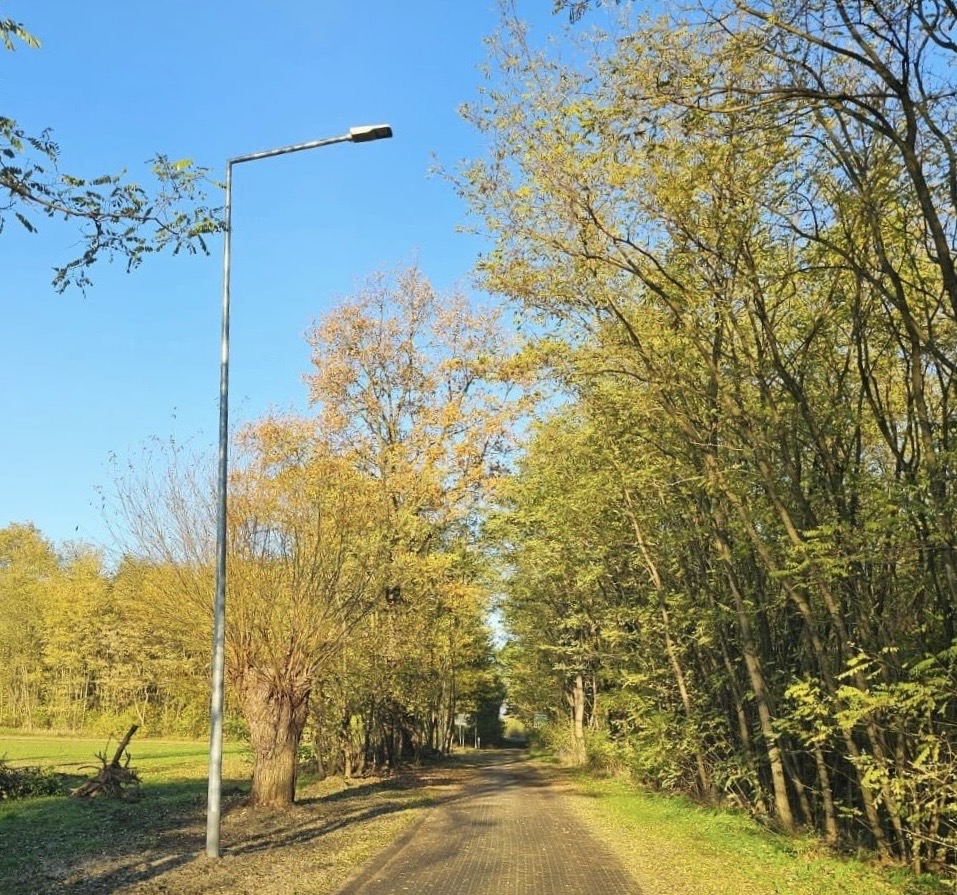 Zdjęcie przedstawia lampę w Przemęcie.